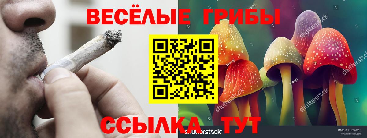 Галлюциногенные грибы Magic Shrooms Ликино-Дулёво