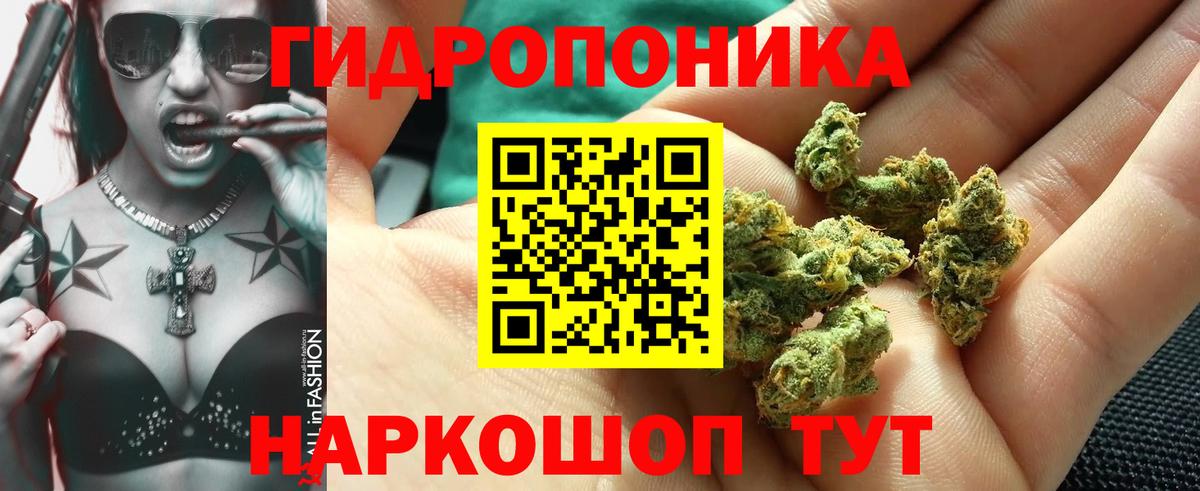 Бошки марихуана THC 21%  Вход с VPN  Конопля White Widow  Ликино-Дулёво  Канабис White Widow 